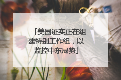 美国证实正在组建特别工作组，以监控中东局势