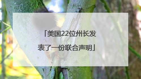 美国22位州长发表了一份联合声明