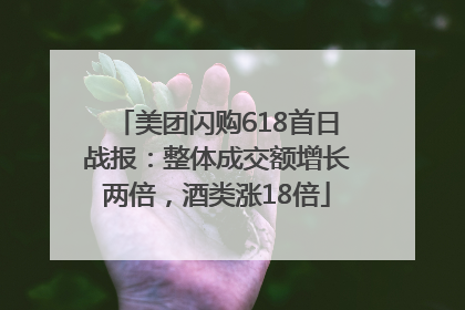 美团闪购618首日战报：整体成交额增长两倍，酒类涨18倍