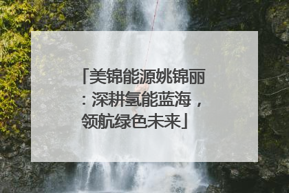 美锦能源姚锦丽：深耕氢能蓝海，领航绿色未来