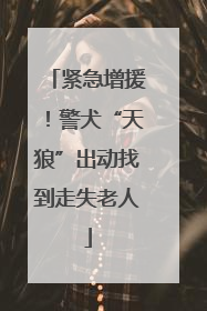 紧急增援！警犬“天狼”出动找到走失老人