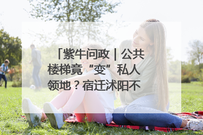 紫牛问政｜公共楼梯竟“变”私人领地？宿迁沭阳不动产登记引质疑