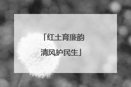 红土育廉韵 清风护民生