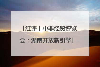 红评丨中非经贸博览会：湖南开放新引擎