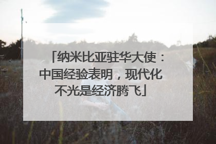 纳米比亚驻华大使：中国经验表明，现代化不光是经济腾飞