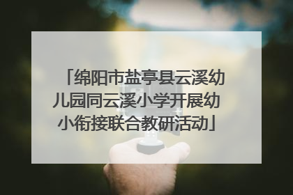 绵阳市盐亭县云溪幼儿园同云溪小学开展幼小衔接联合教研活动