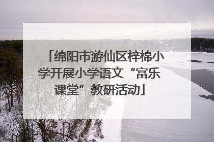 绵阳市游仙区梓棉小学开展小学语文“富乐课堂”教研活动