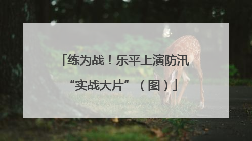 练为战！乐平上演防汛 “实战大片”（图）