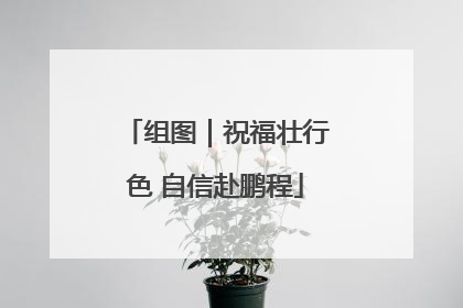 组图｜祝福壮行色 自信赴鹏程