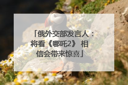 俄外交部发言人：将看《哪吒2》 相信会带来惊喜