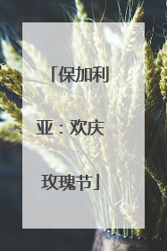保加利亚：欢庆玫瑰节