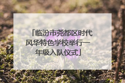 临汾市尧都区时代风华特色学校举行一年级入队仪式