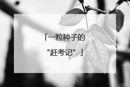 一粒种子的“赶考记”