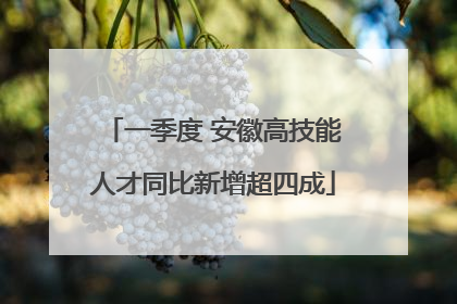 一季度 安徽高技能人才同比新增超四成