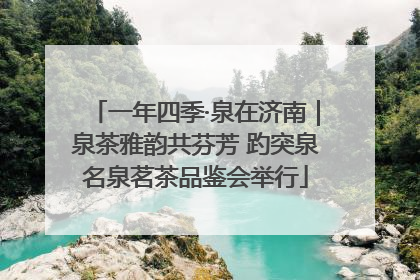 一年四季·泉在济南｜泉茶雅韵共芬芳 趵突泉名泉茗茶品鉴会举行