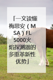 一文读懂梅思安（MSA）FL5000火焰探测器的多重革新性优势