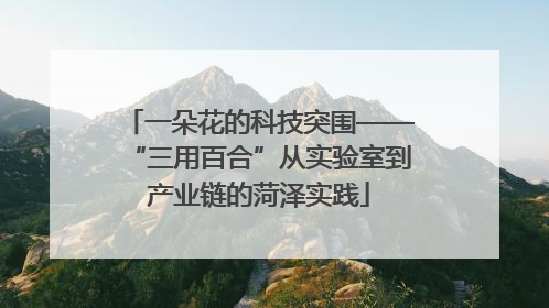一朵花的科技突围——“三用百合”从实验室到产业链的菏泽实践