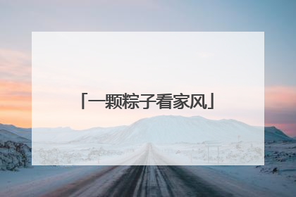 一颗粽子看家风