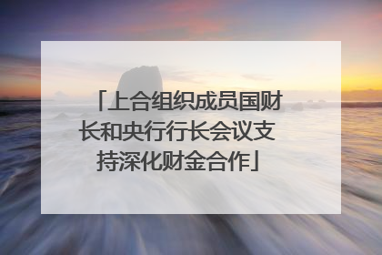 上合组织成员国财长和央行行长会议支持深化财金合作