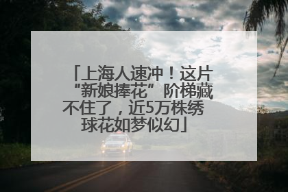 上海人速冲！这片“新娘捧花”阶梯藏不住了，近5万株绣球花如梦似幻