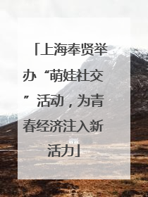 上海奉贤举办“萌娃社交”活动，为青春经济注入新活力
