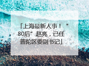 上海最新人事！“80后”赵亮，已任普陀区委副书记