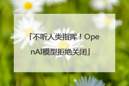 不听人类指挥！OpenAI模型拒绝关闭
