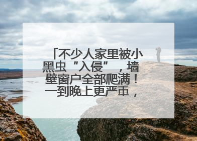 不少人家里被小黑虫“入侵”，墙壁窗户全部爬满！一到晚上更严重，还有一股臭味