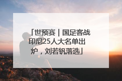 世预赛｜国足客战印尼25人大名单出炉，刘若钒落选