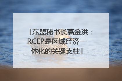东盟秘书长高金洪：RCEP是区域经济一体化的关键支柱