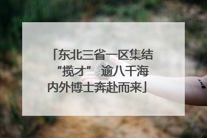 东北三省一区集结“揽才” 逾八千海内外博士奔赴而来