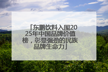 东鹏饮料入围2025年中国品牌价值榜，彰显强劲的民族品牌生命力