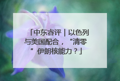 中东睿评｜以色列与美国配合，“清零”伊朗核能力？