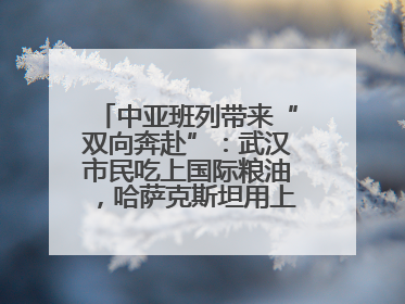 中亚班列带来“双向奔赴”：武汉市民吃上国际粮油，哈萨克斯坦用上鄂产光电屏