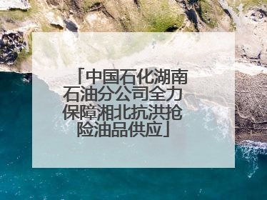 中国石化湖南石油分公司全力保障湘北抗洪抢险油品供应
