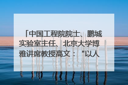 中国工程院院士、鹏城实验室主任、北京大学博雅讲席教授高文：“以人为本 智能向善” 推动文化与科技相生相促｜聚焦2025文化强国建设高峰论坛