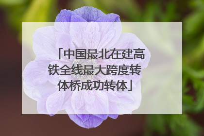 中国最北在建高铁全线最大跨度转体桥成功转体