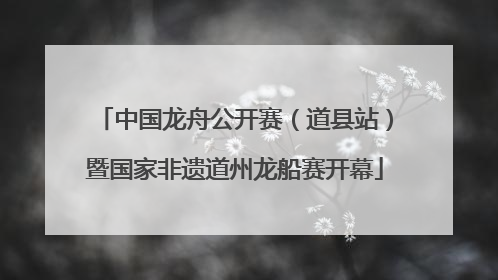中国龙舟公开赛（道县站）暨国家非遗道州龙船赛开幕