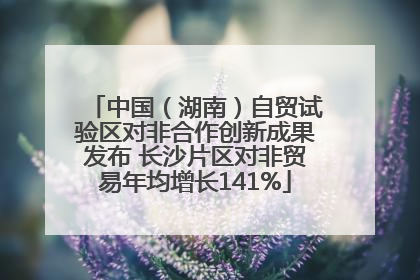 中国（湖南）自贸试验区对非合作创新成果发布 长沙片区对非贸易年均增长141%