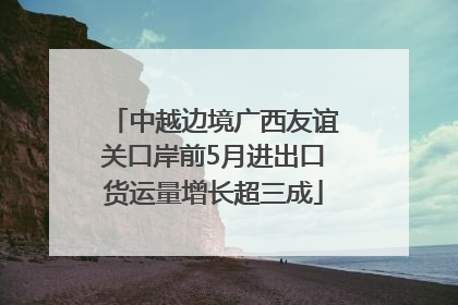 中越边境广西友谊关口岸前5月进出口货运量增长超三成