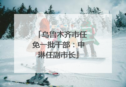 乌鲁木齐市任免一批干部：申琳任副市长
