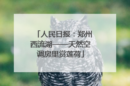 人民日报：郑州西流湖——天然空调房里赏莲荷