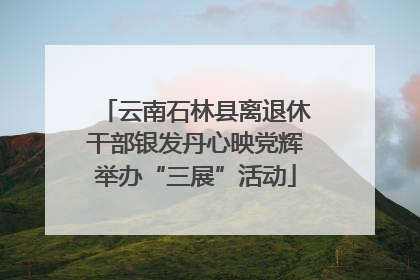 云南石林县离退休干部银发丹心映党辉举办“三展”活动