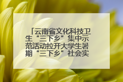 云南省文化科技卫生“三下乡”集中示范活动拉开大学生暑期“三下乡”社会实践活动序幕