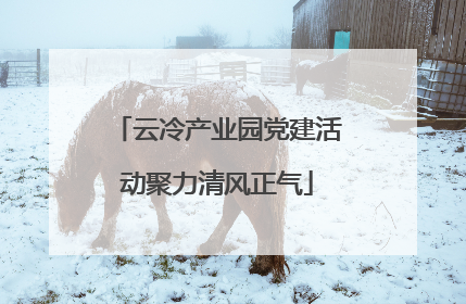 云冷产业园党建活动聚力清风正气