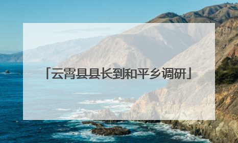 云霄县县长到和平乡调研