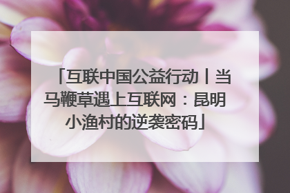 互联中国公益行动丨当马鞭草遇上互联网：昆明小渔村的逆袭密码