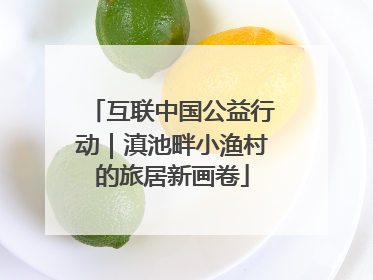 互联中国公益行动｜滇池畔小渔村的旅居新画卷