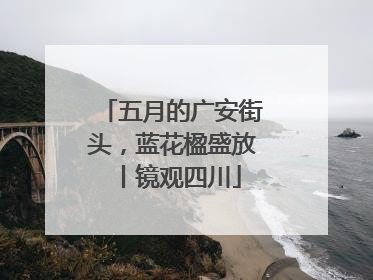 五月的广安街头，蓝花楹盛放丨镜观四川