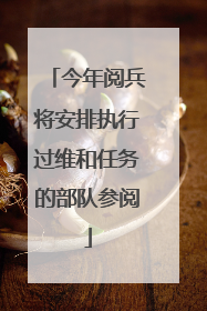 今年阅兵将安排执行过维和任务的部队参阅
